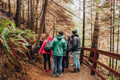 Plantenkennis in 10 wandelingen - Crescendo CVO