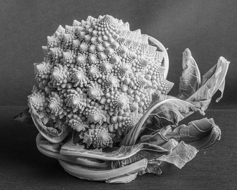 Foto door cursist Patrick Hertsens